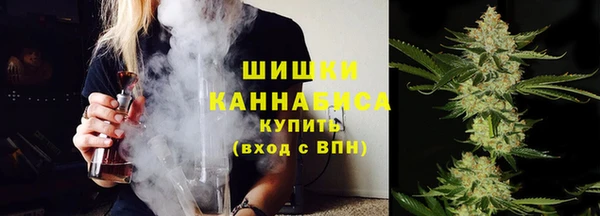 Альфа ПВП Осинники