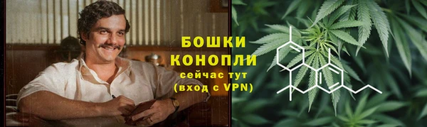 дурь Осташков