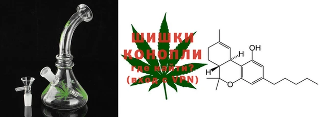 Альфа ПВП Осинники
