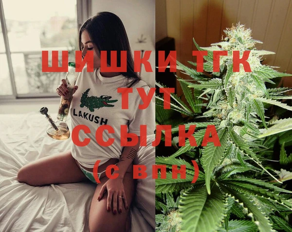 Альфа ПВП Осинники