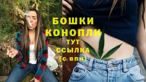 Альфа ПВП Осинники