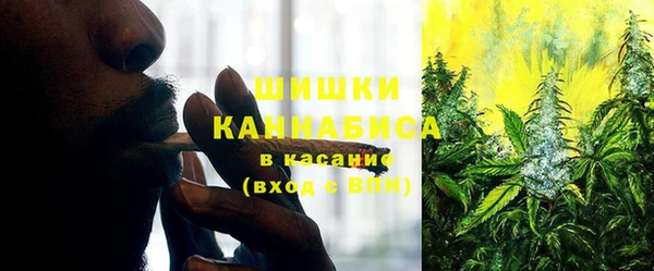 Альфа ПВП Осинники